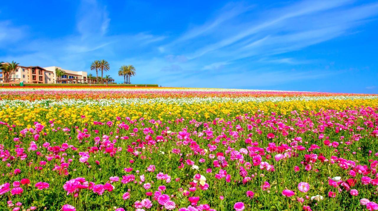 Carlsbad By The Sea Hotel Екстер'єр фото