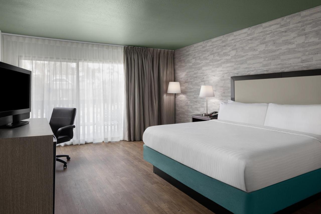 Carlsbad By The Sea Hotel Номер фото